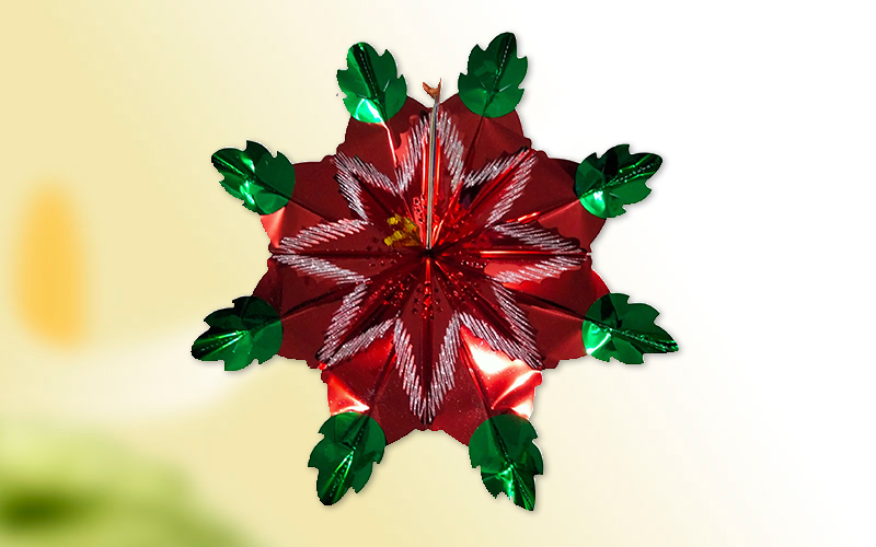 flor de pascua nochebuena